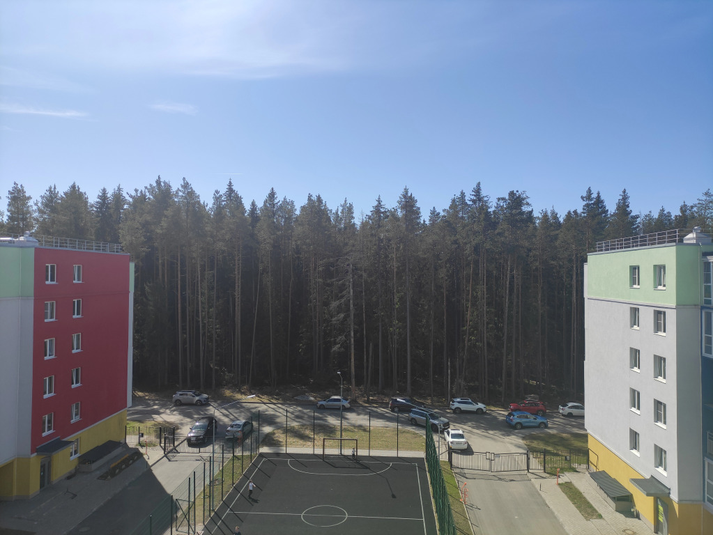 Квартира Зеленогорск-2 Качели