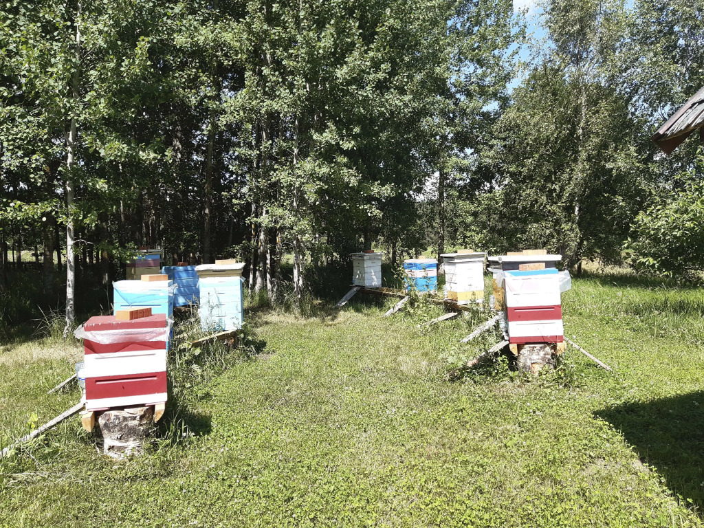 Гостевой дом в деревне Чернокуново