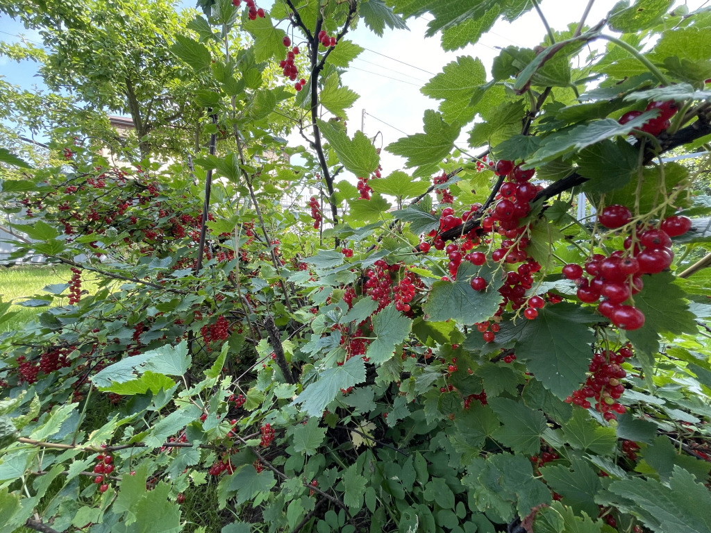 Гостевой Дом с Бассейном