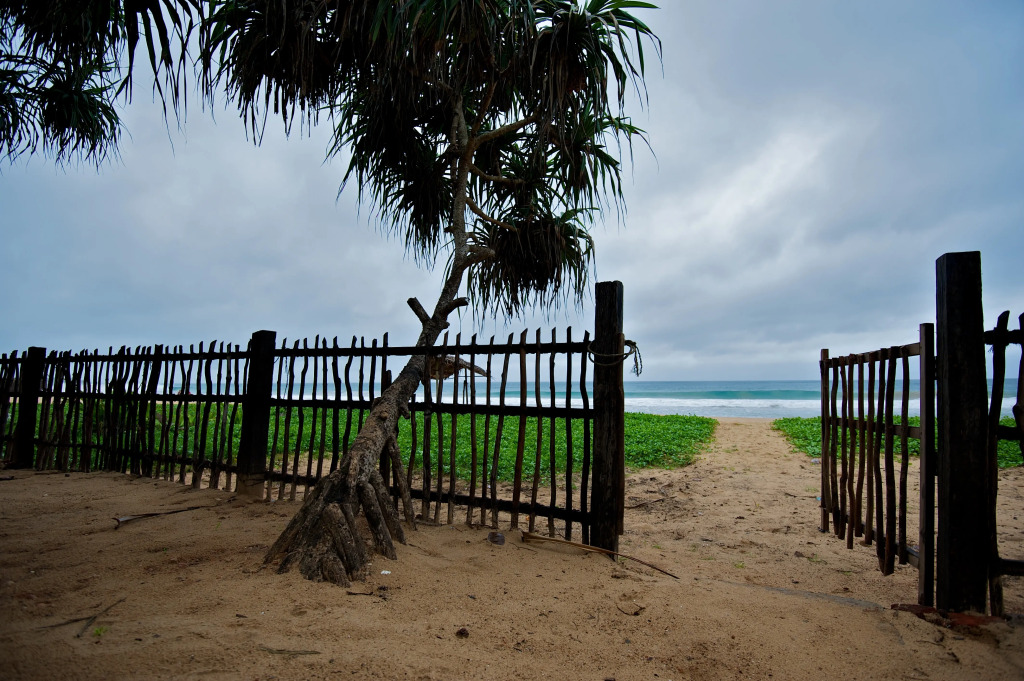 Roman Beach Hotel - Hikkaduwa