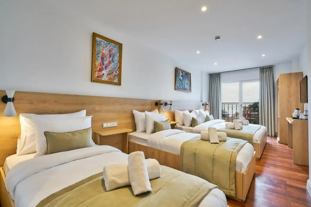 Отель Joyway Hotels Istanbul Sultanahmet