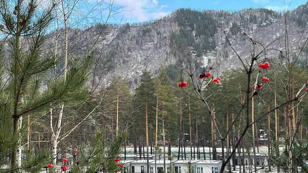 Отель на Алтае Скальный