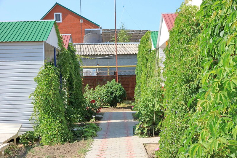 Отель Сокол