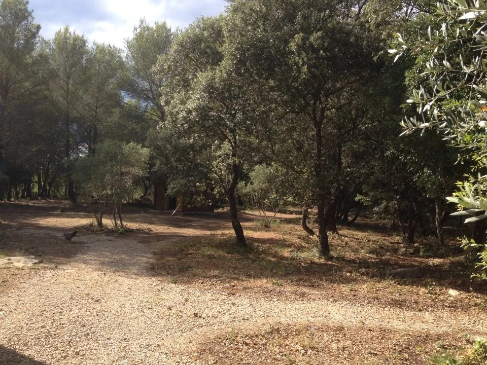 Le Domaine dAlèzen