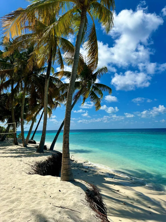 Отель Oceana Surf Maldives