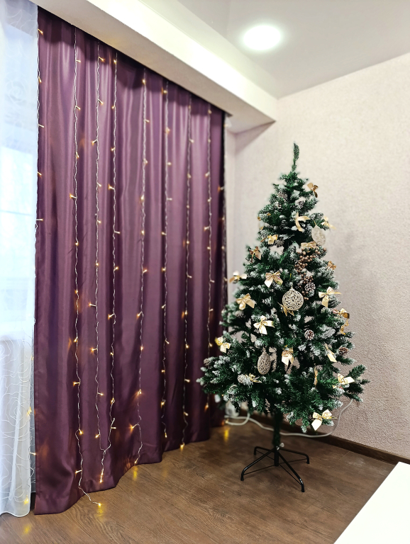 Квартира Липецк Центр 1