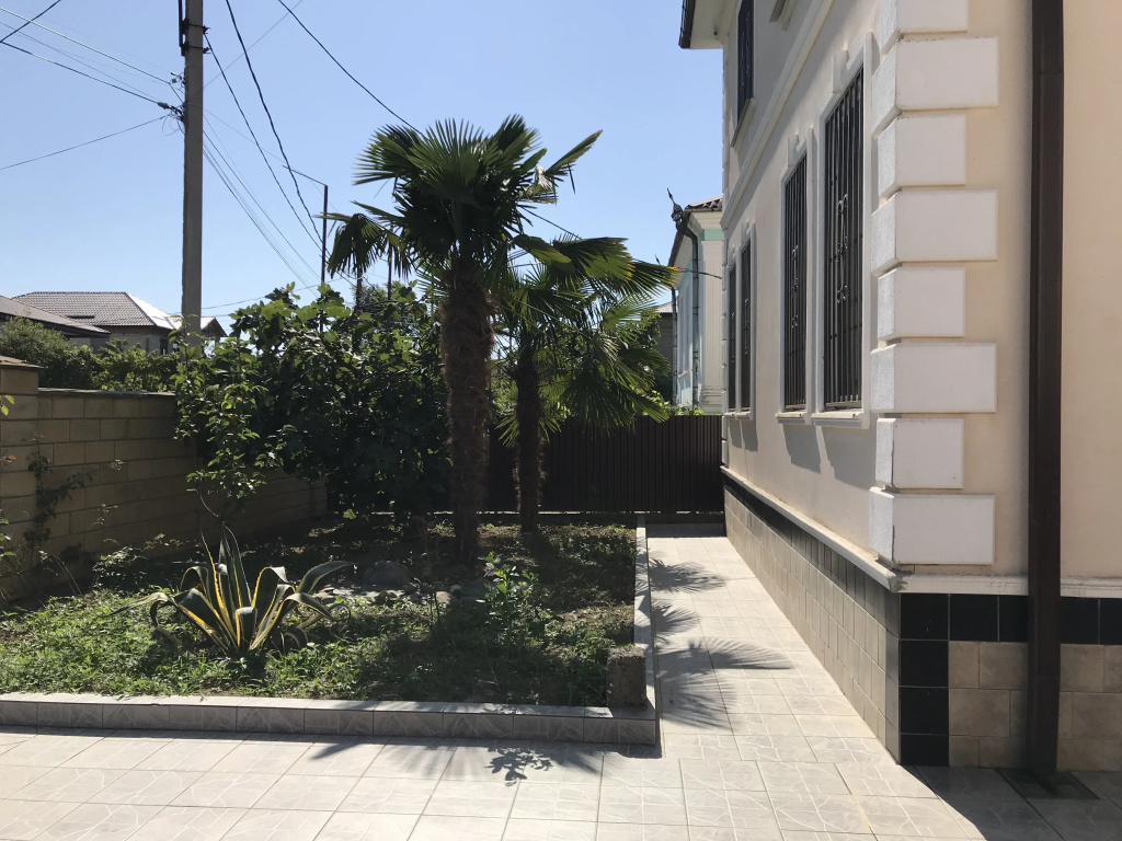 Delfin Hotel	