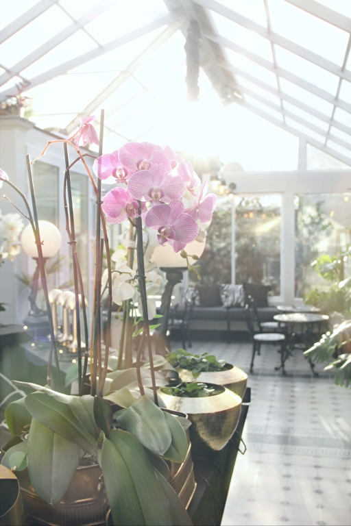 Vinnhaus