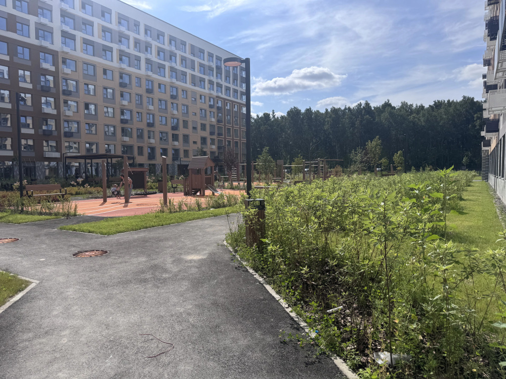 Квартира у леса