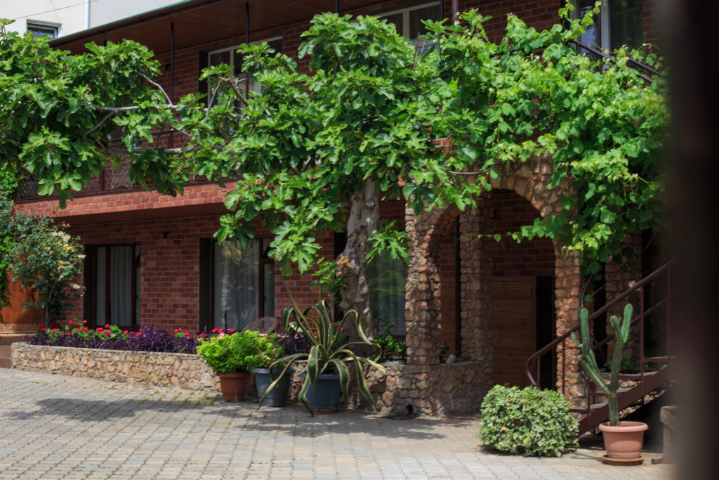 Sparta Guest house