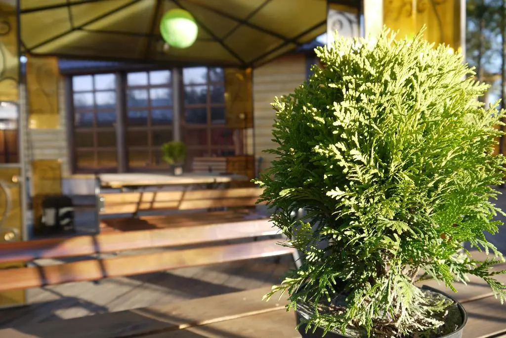 Klub Sotka Guest House