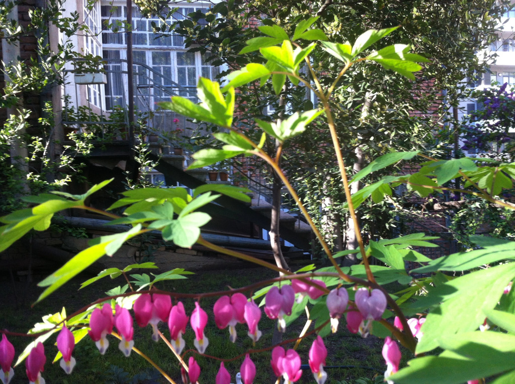 Гостевой дом Granat Garden
