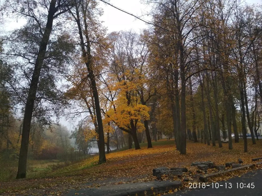 Апартаменты с садом Павловск