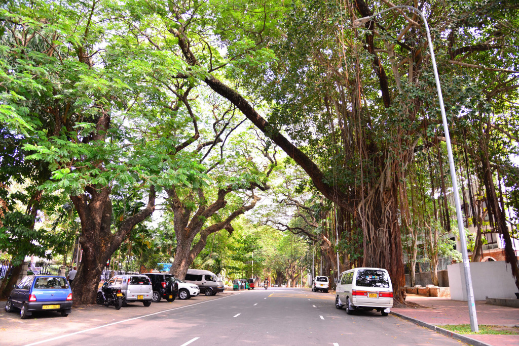Colombo Villa