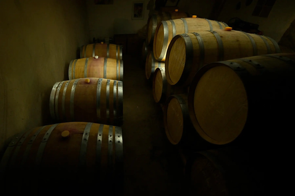 Areni Wine Art