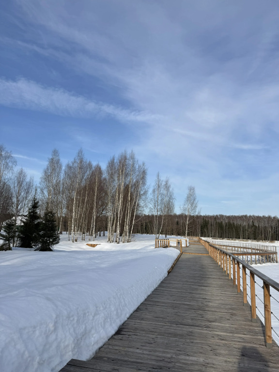 Отель Mistyland