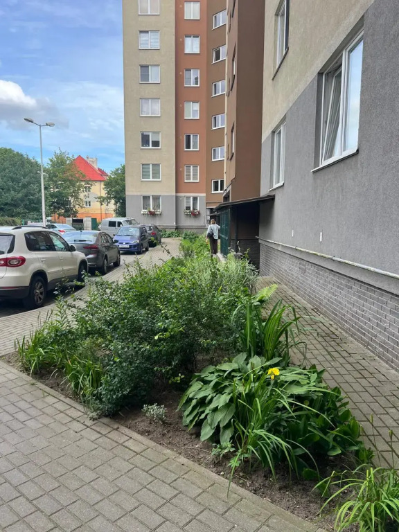 Квартира уютная в тихом зелёном месте