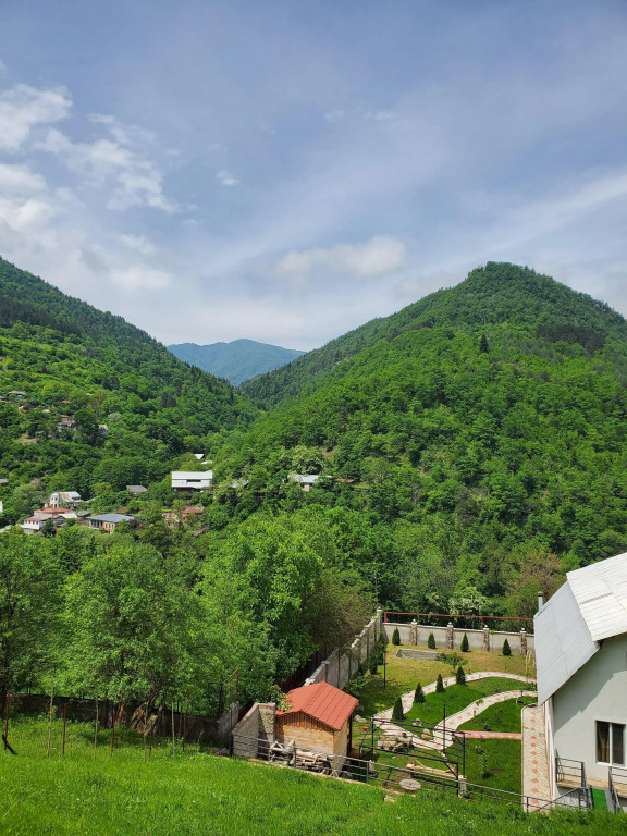 Гостевой дом Dioscuria Borjomi