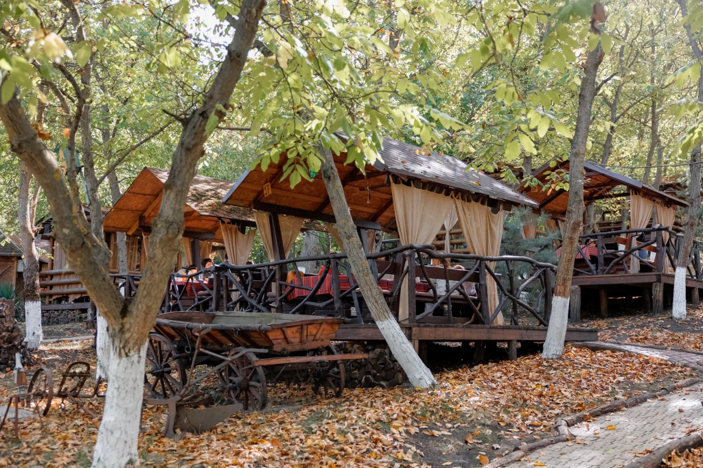 Курортный отель Poiana Bradului Complex Hotelier & Restaurant