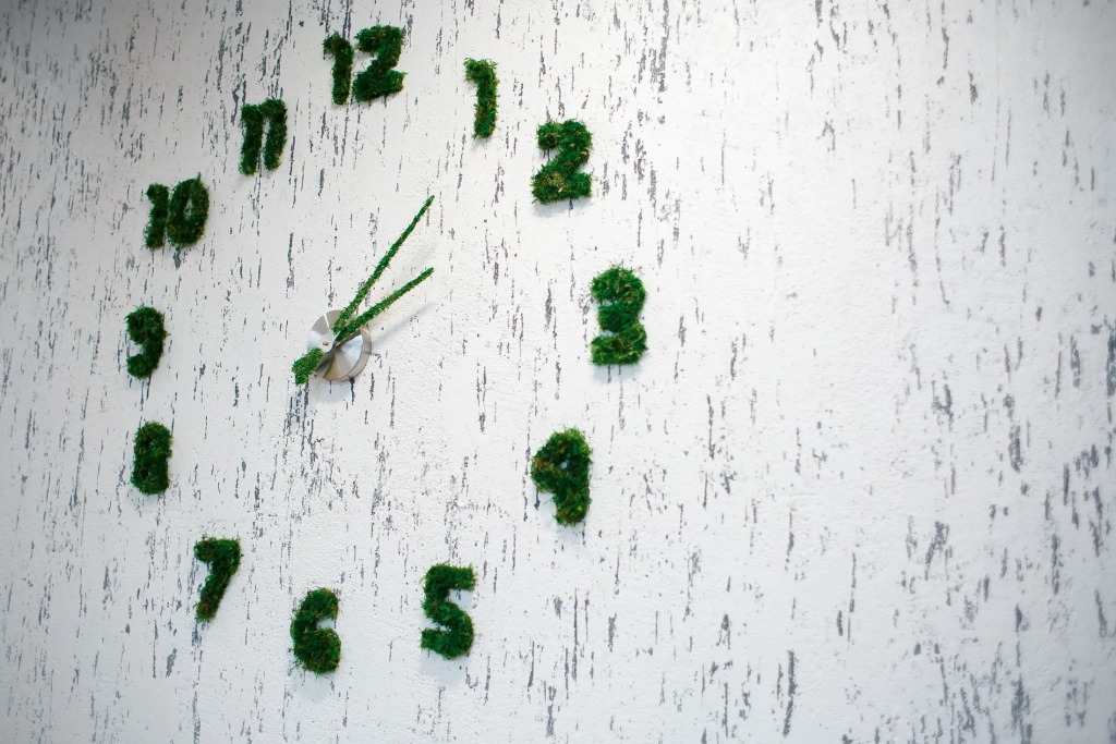 Отель Панорама