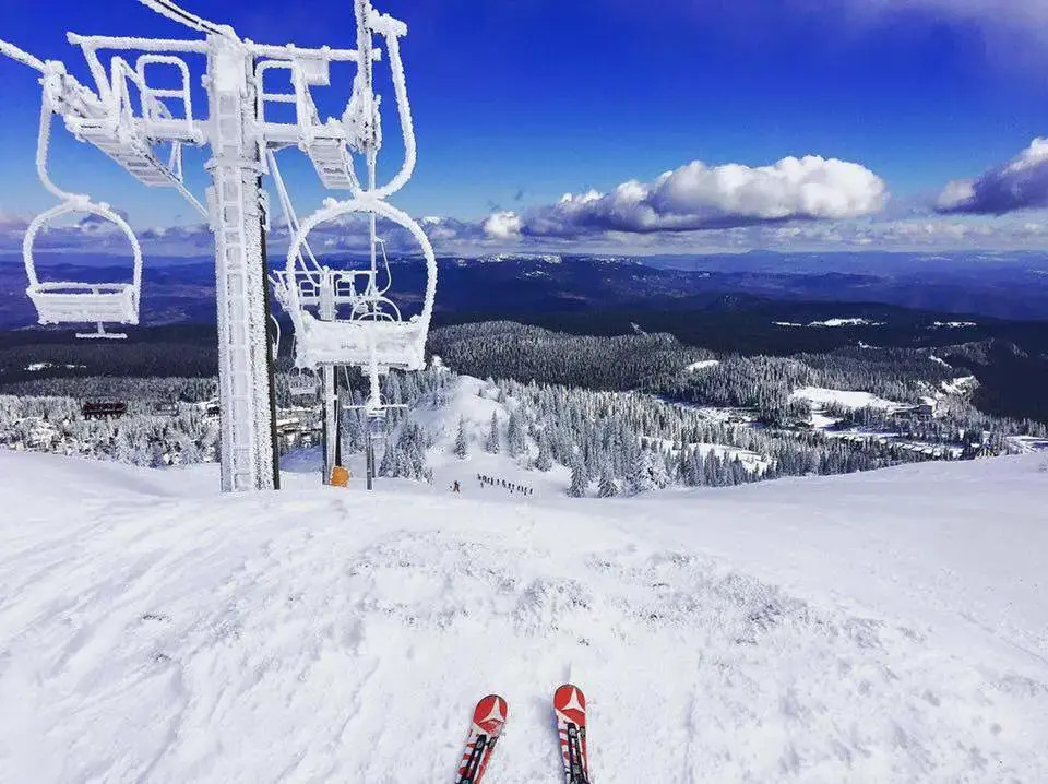 Апартаменты Ski Luxury Suite