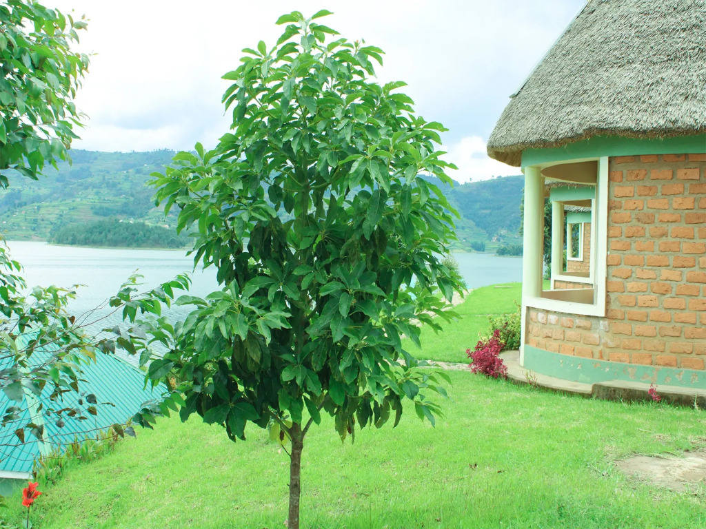 Nyamunyonyi Lake Resort