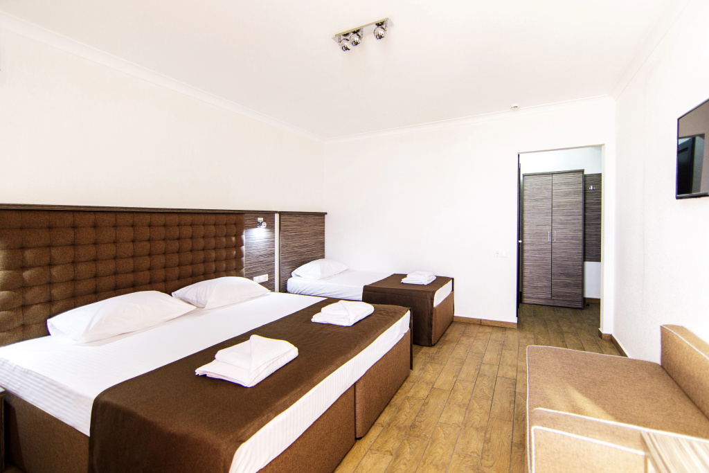 Отель Despina Family Hotel