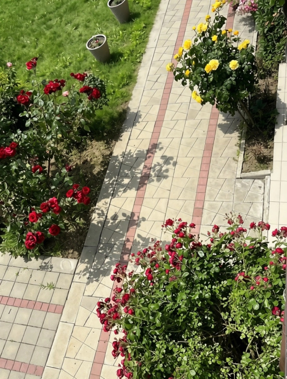 Гостевой дом Солнечная Поляна