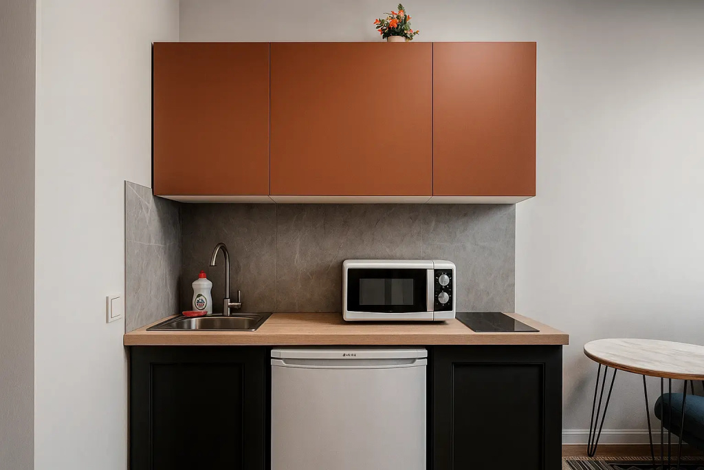 Apartment Metro Plus