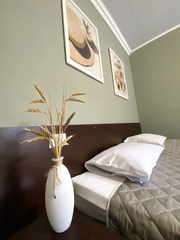 Меблированные комнаты Аврора house