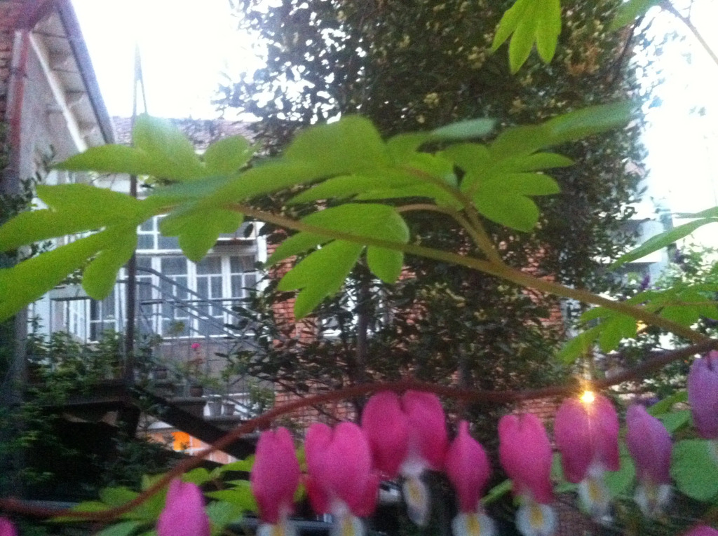 Гостевой дом Granat Garden