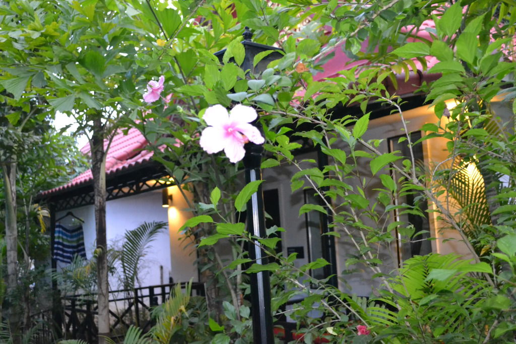Вилла Nature Boutique Residence