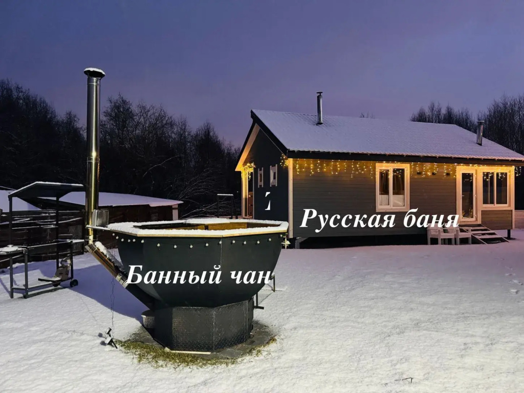 Частный дом Зима у леса на берегу озера Кипень