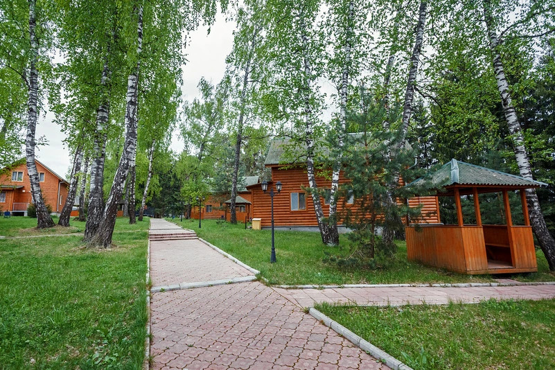 База отдыха Березовая роща