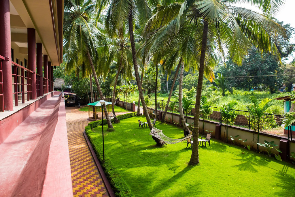 Lazy Frog Guest House