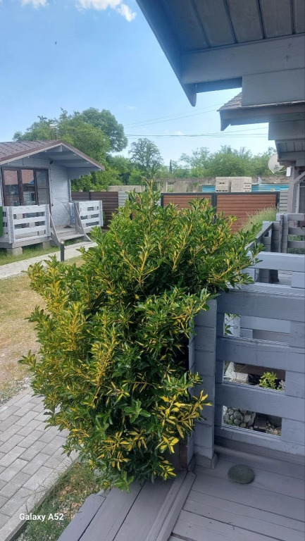 Частный дом Домики у Лизы