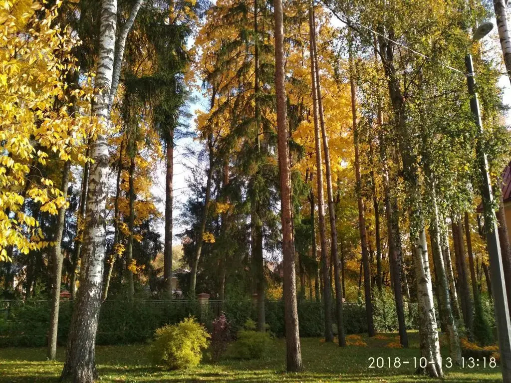 Апартаменты с садом Павловск