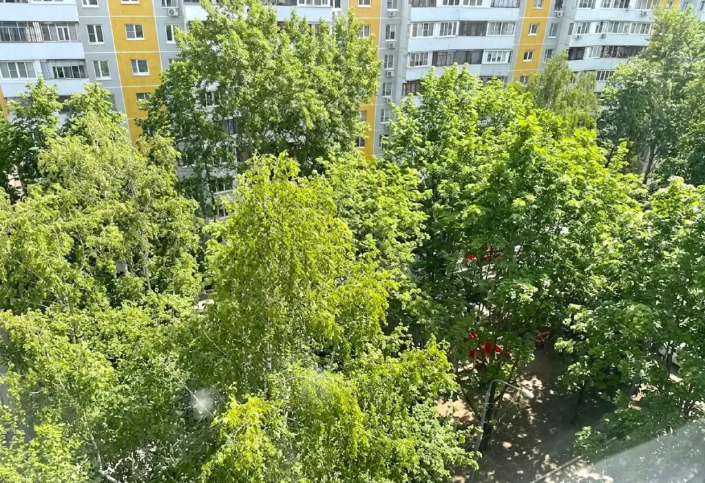 Квартира на Воронежской 34/3