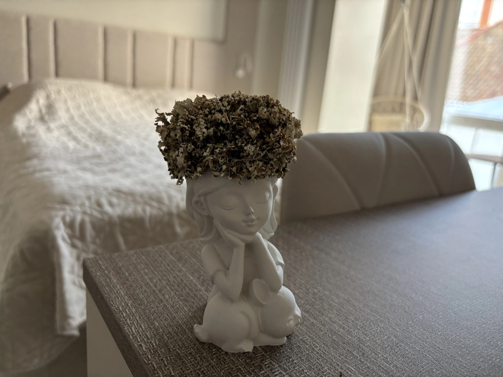 V Rosche U Morya Flat