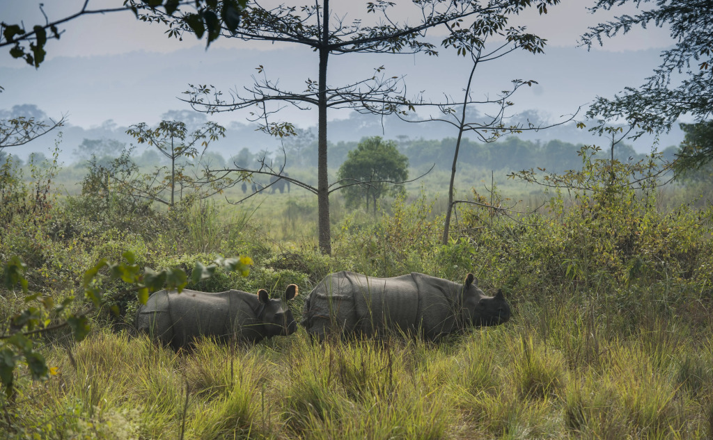 Siddhartha Wildlife Retreat