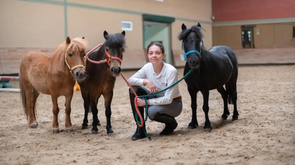 Бутик-отель Padok Premium Hotel & Stables