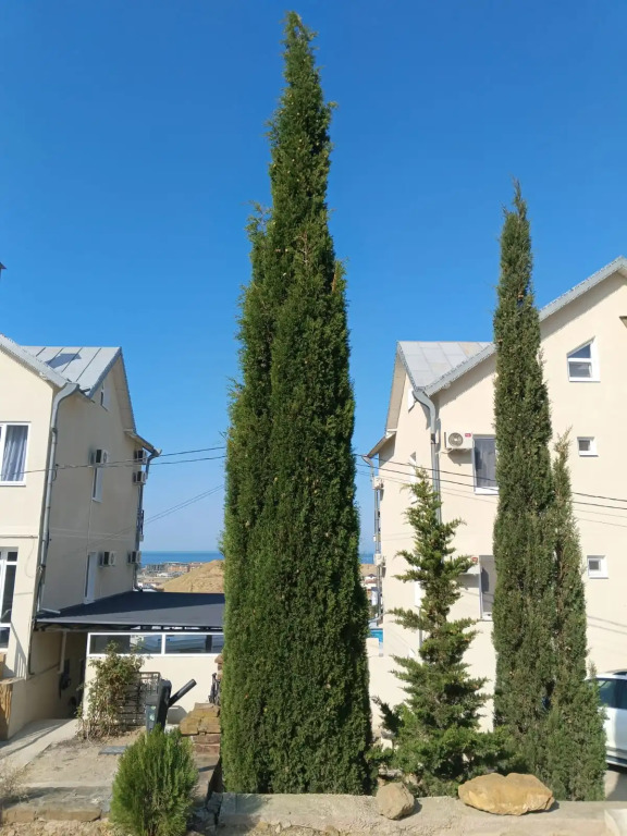 Devyaty Val Guest House