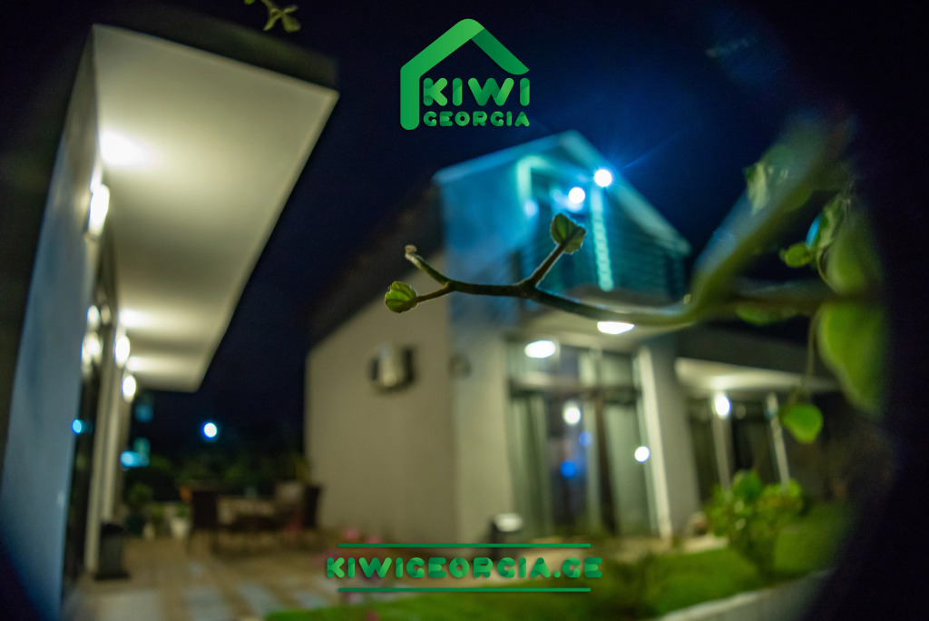 Apartment Kiwi Georgia 2