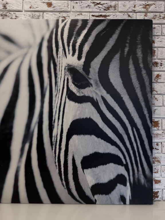 Апартаменты July. ZEBRA