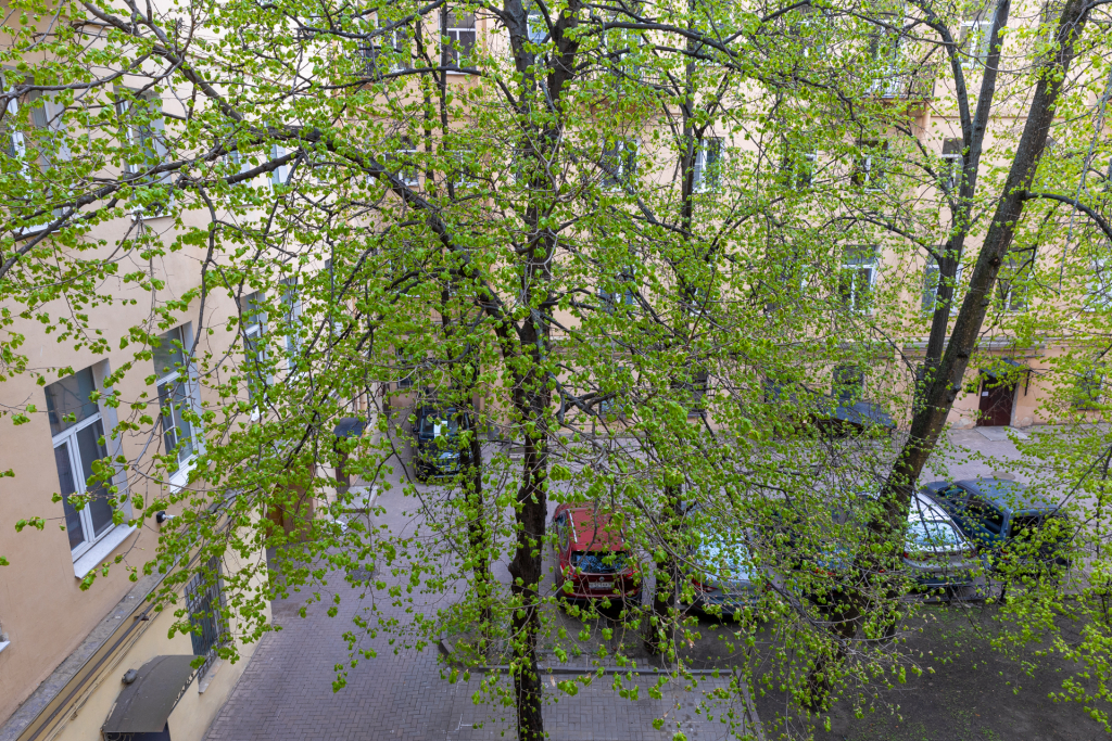 Квартира RentalSPb