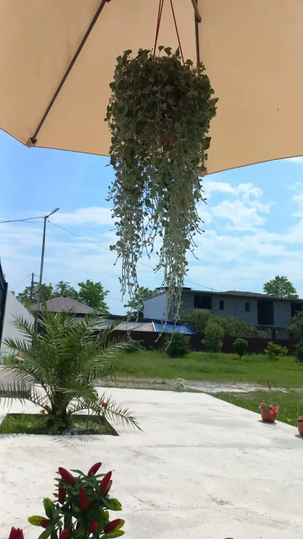 Гостевой дом MinasGuestHouse