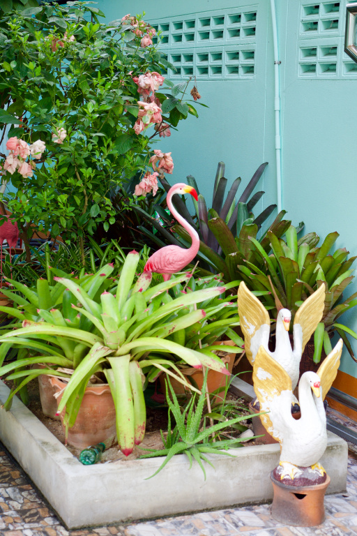 Jardin