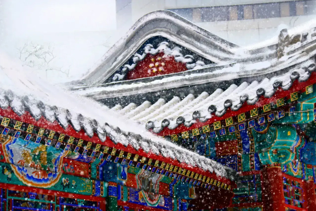 Отель Capital