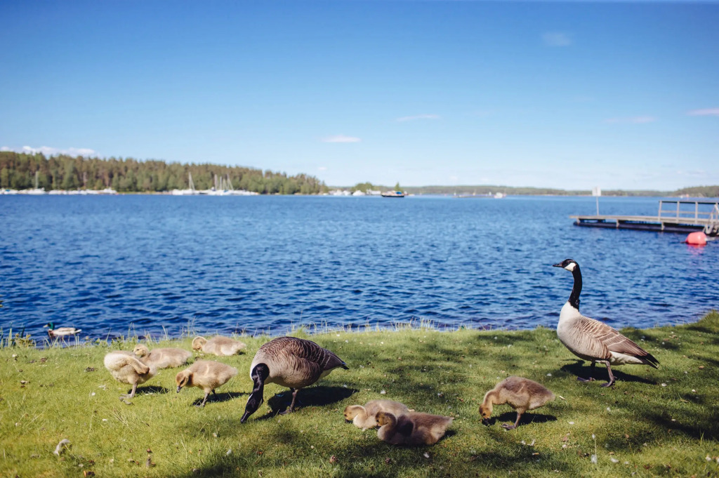Saimaa Life Apartments