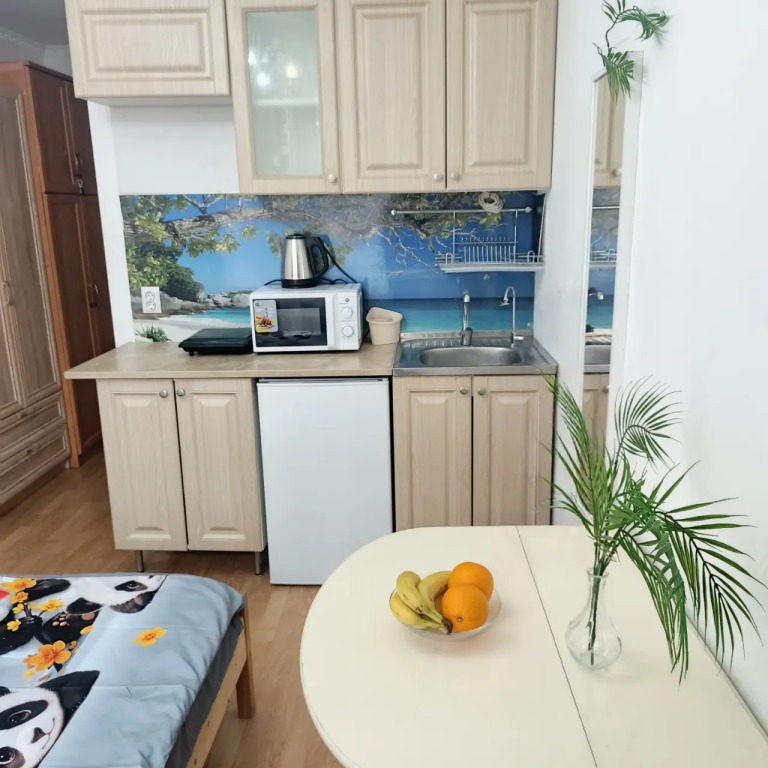 Апартаменты Студия Эконом 18м2
